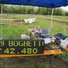 campionato triveneto enduro 2012 crespano_06